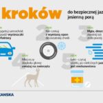 Kiedy jesień zaskakuje kierowców…