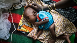 ONZ apeluje o pomoc dla regionu Sahelu Problemy społeczne, BIZNES - Genewa/Dakar, maj 2018 r. – Susza, wysokie ceny żywności i konflikt mogą spowodować, że miliony ludzi w niektórych częściach regionu Sahelu (Afryka Zachodnia) będą cierpieć z głodu, ostrzegają trzy organizacje.