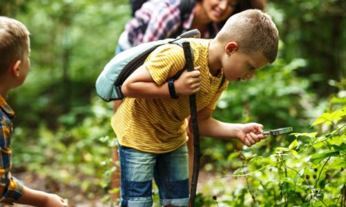 Pierwsze drzewa pokrywają się kwieciem, w ogródkach i w parkach robi się kolorowo, bociany zasiedlają gniazda, a lasy zaczynają tętnić życiem – 10 pomysłów na majówkę bliżej natury.